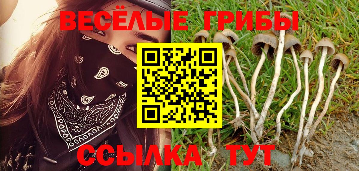 Грязи  Галлюциногенные грибы Psilocybe  Вход с VPN  Псилоцибиновые грибы Magic Shrooms 